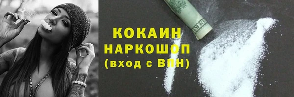 гашик Аркадак