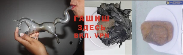 сатива Арсеньев
