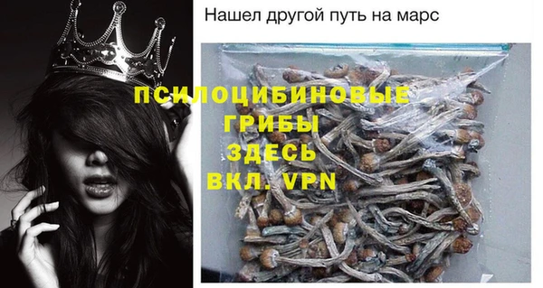 сатива Армянск