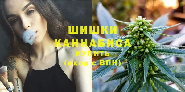 сатива Армянск