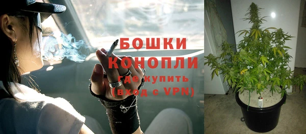 гашик Аркадак